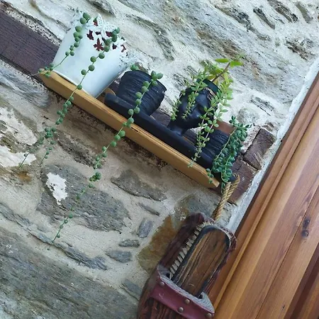 Gazde/Camere de închiriat Katina Boutique